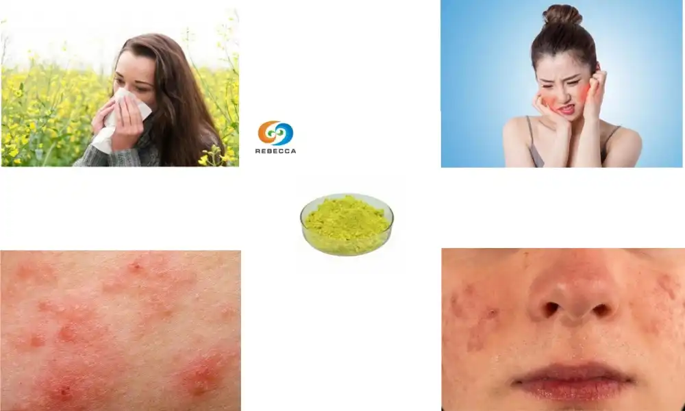 Quercetin Powder for Allergies: How It Works